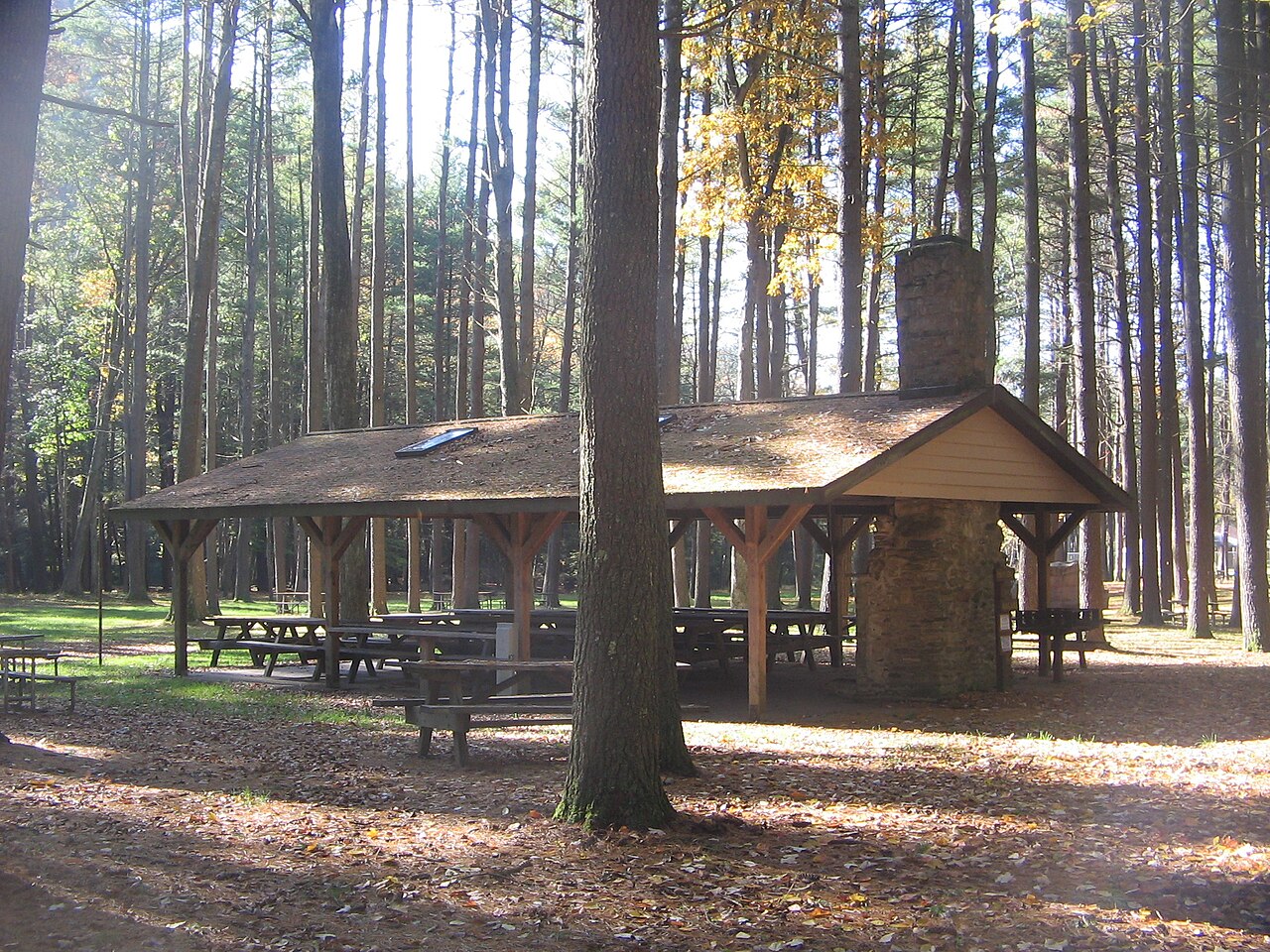 Park picnic shelter